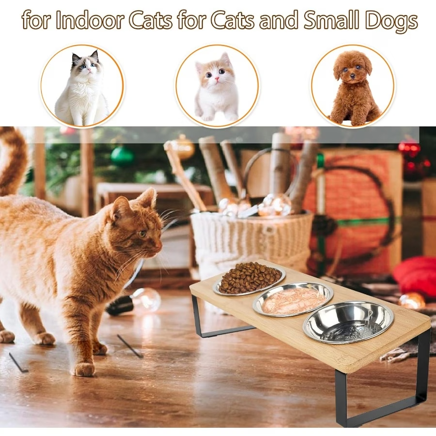 3-Bowl Tilted Feeding Station