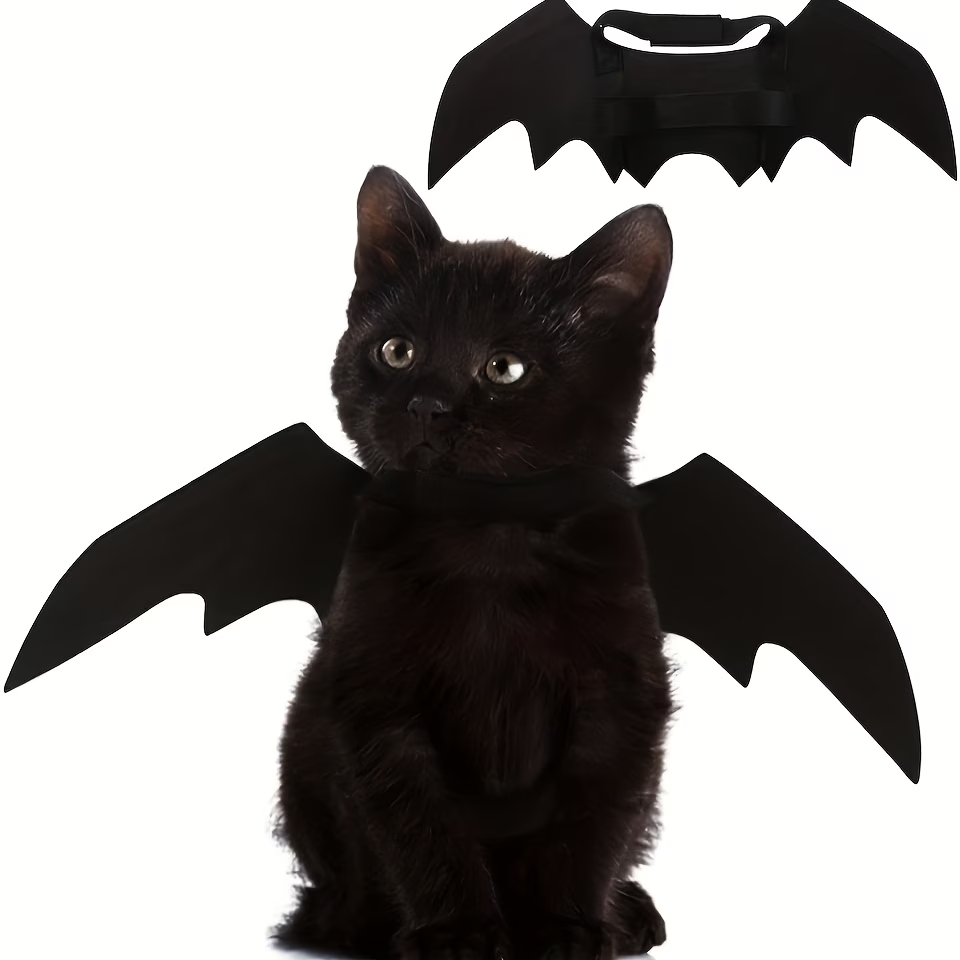 Bat Wings Costume