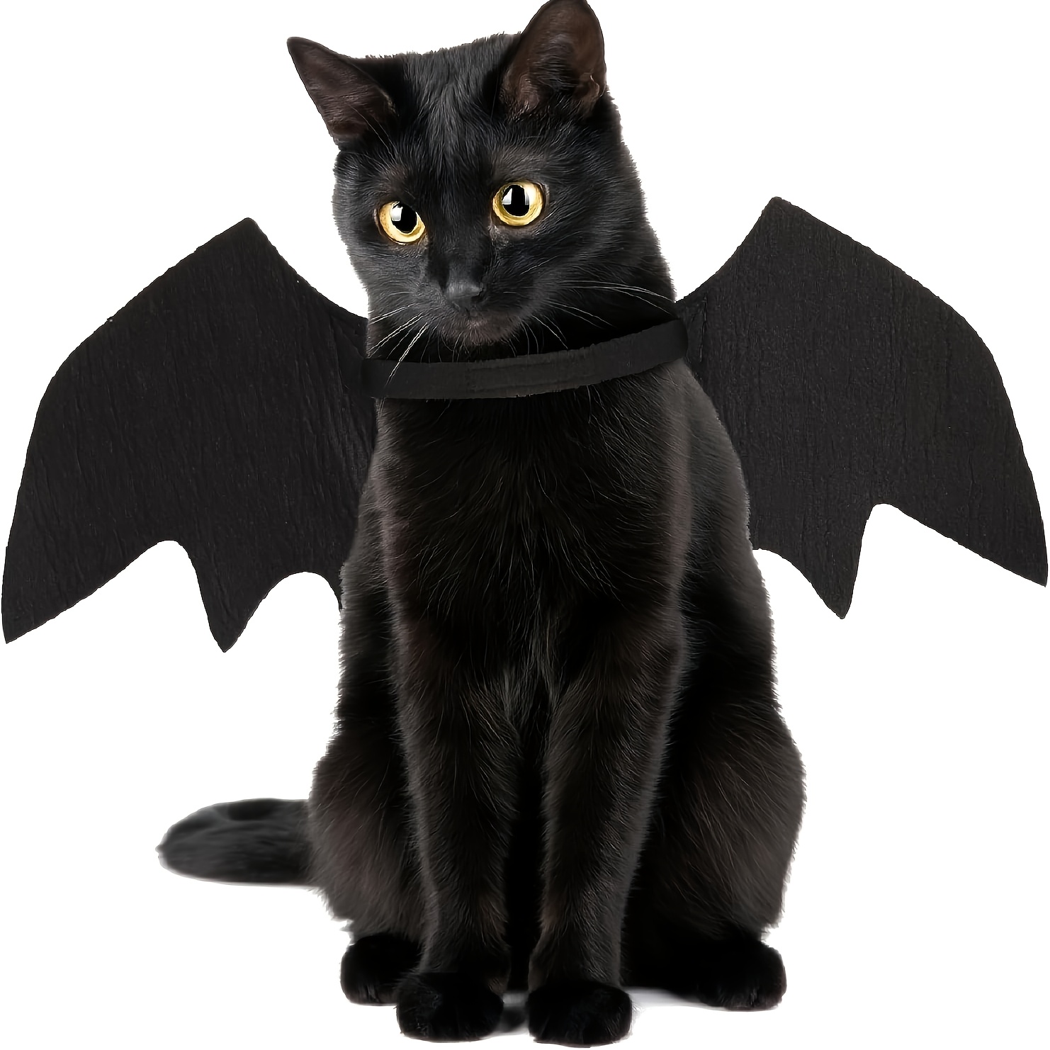 Bat Wings Costume