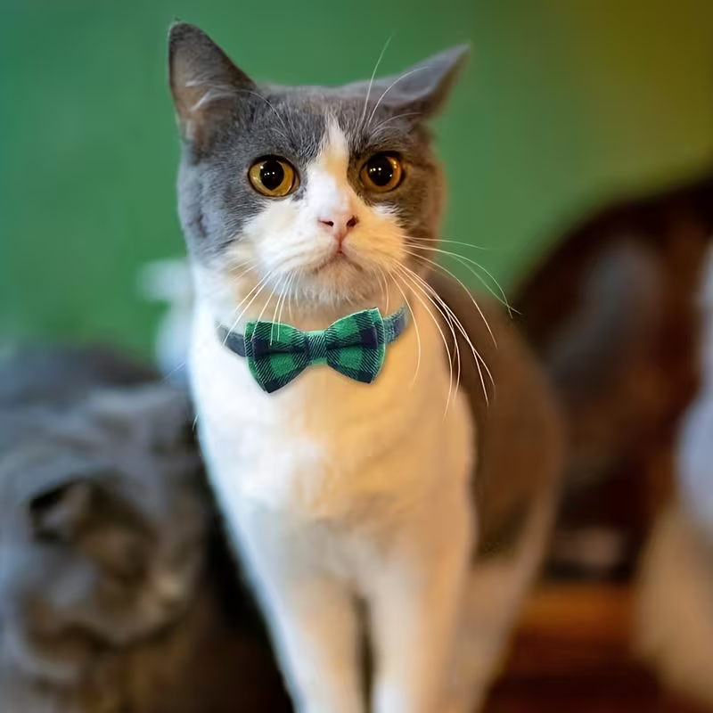 Plaid Bow Tie Cat Collar with Bell