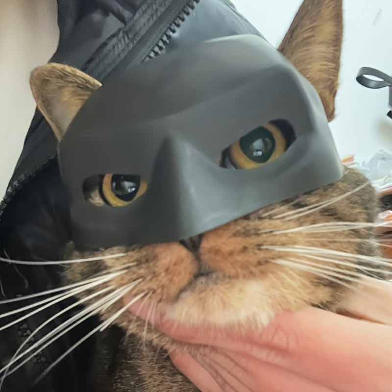 Funny Pet Helmet Photo Mask