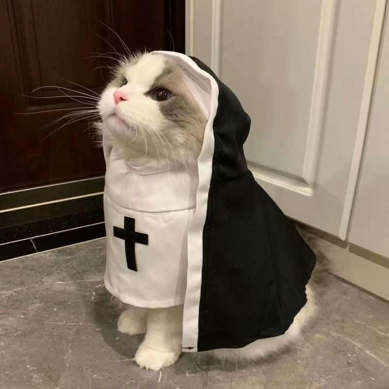 Nun Costume for Cats