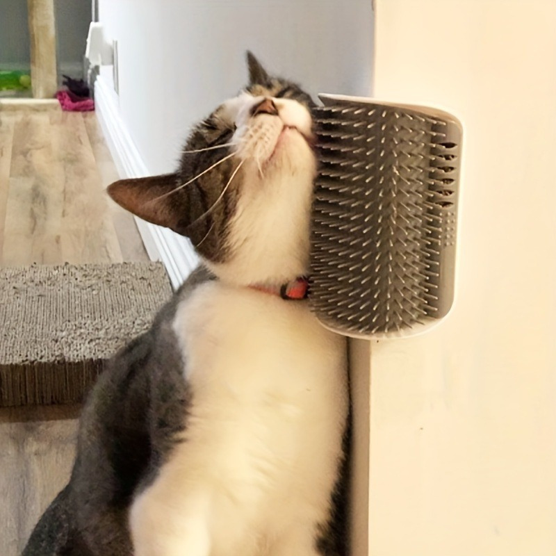 Wall-Mounted Self Groomer